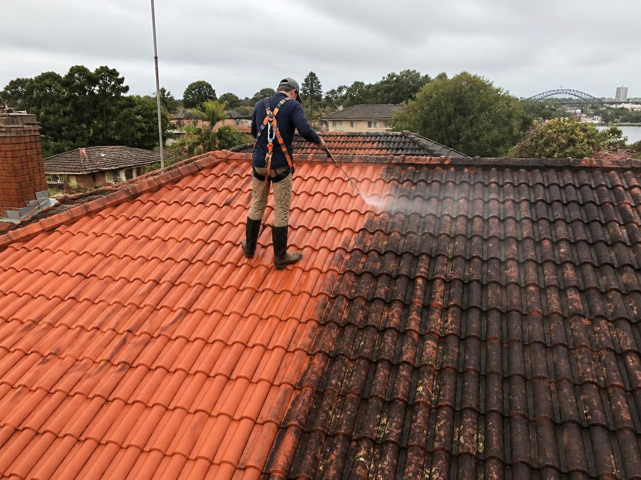 Roof Cleaning